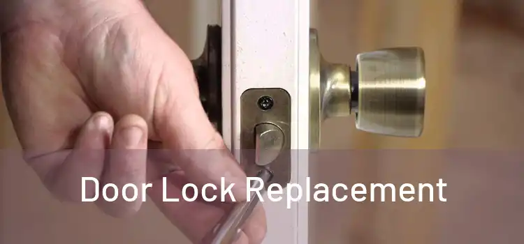  Door Lock Replacement 